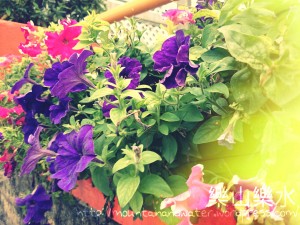 wpid-wp-1426747472321.jpeg