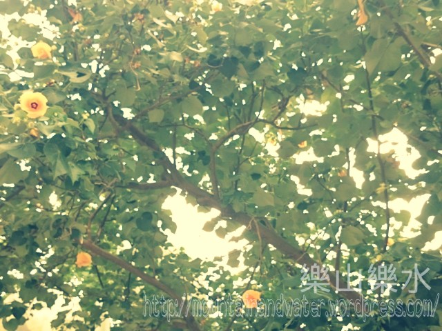wpid-wp-1434419730757.jpeg